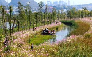 六盘水明湖湿地公园图片 第5张