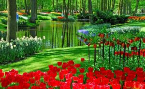 公园鲜花草地图片