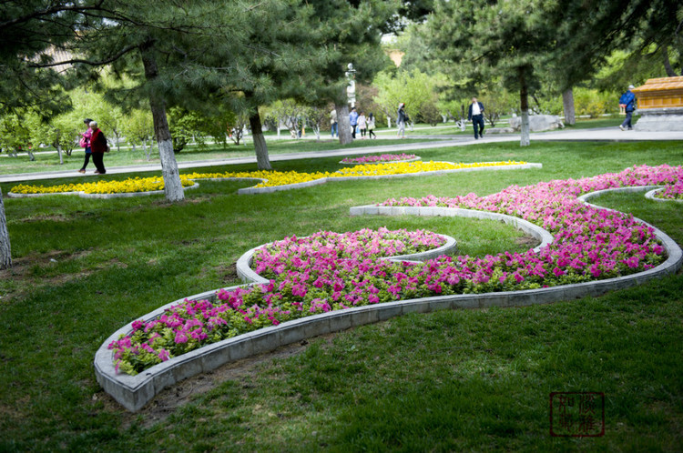 公园鲜花草地图片 第8张