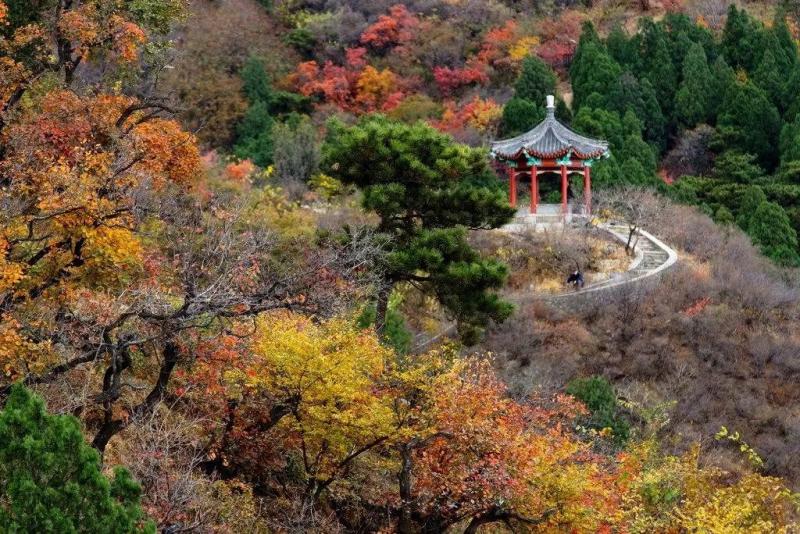 北京香山公园图片 第2张