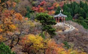 北京香山公园图片 第2张