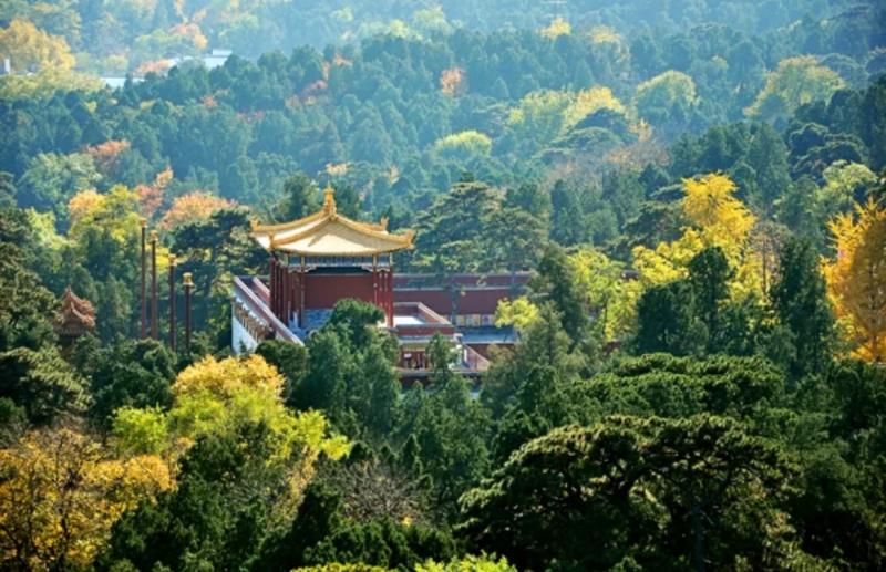 北京香山公园图片 第4张