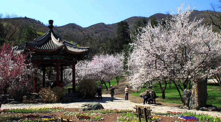 北京香山公园图片 第3张