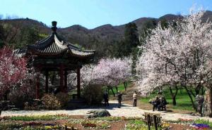 北京香山公园图片 第3张