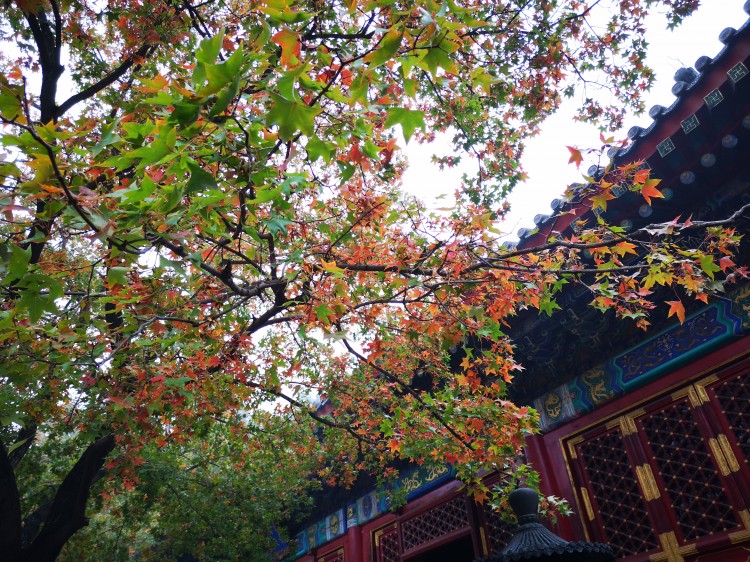 北京香山公园图片 第5张