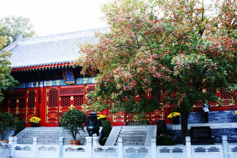 北京香山公园图片 第6张