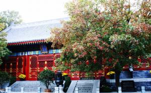 北京香山公园图片 第6张