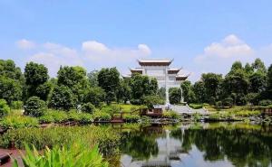 广州海珠湿地公园图片 第4张