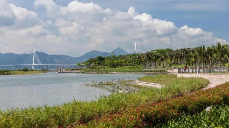 深圳湾公园图片 第3张