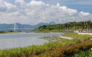 深圳湾公园图片 第3张
