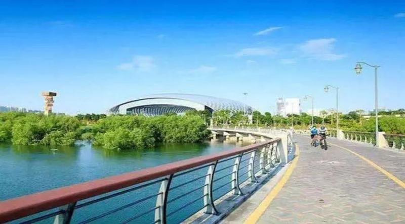 深圳湾公园图片 第1张