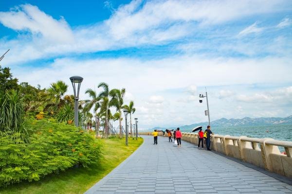 深圳湾公园图片 第7张