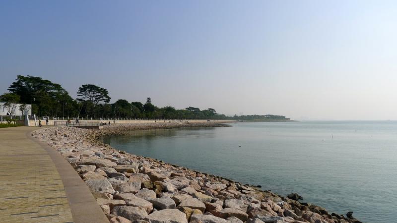 深圳湾公园图片 第8张