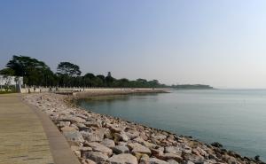 深圳湾公园图片 第8张