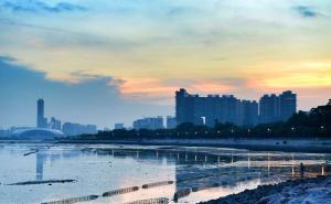深圳湾公园图片 第5张
