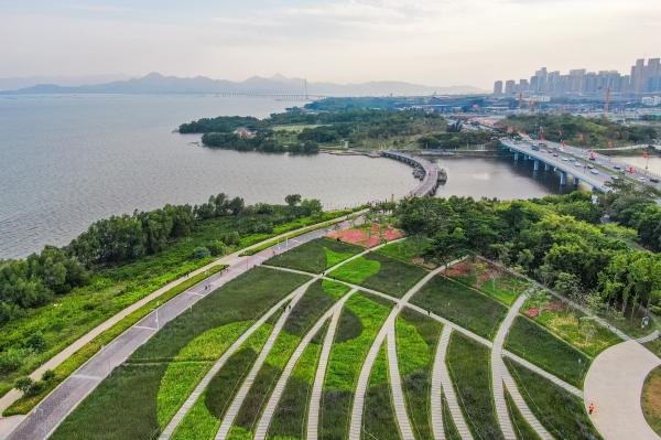 深圳湾公园图片 第6张