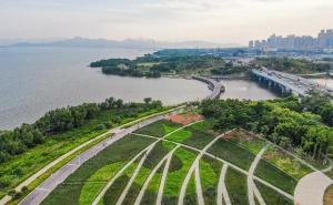 深圳湾公园图片 第6张