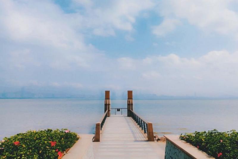深圳湾公园图片 第10张