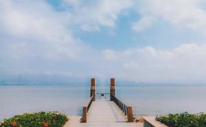 深圳湾公园图片 第10张