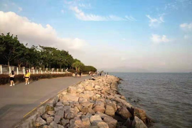深圳湾公园图片 第11张