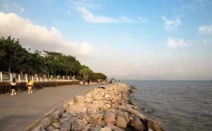 深圳湾公园图片 第11张