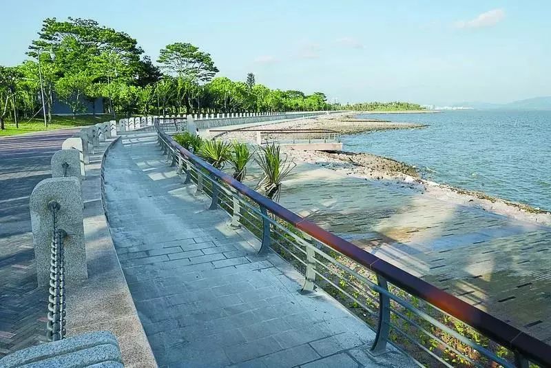 深圳湾公园图片 第13张