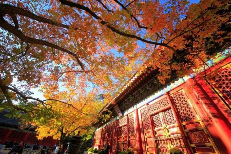 南香山公园图片 第1张