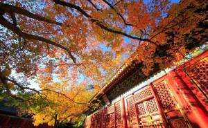 南香山公园图片