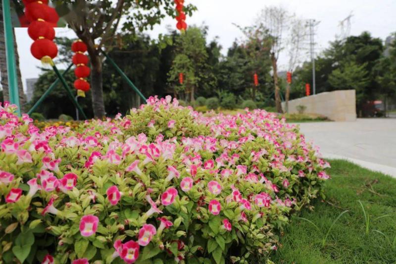 南香山公园图片 第3张