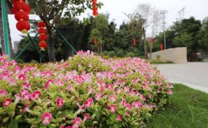 南香山公园图片 第3张