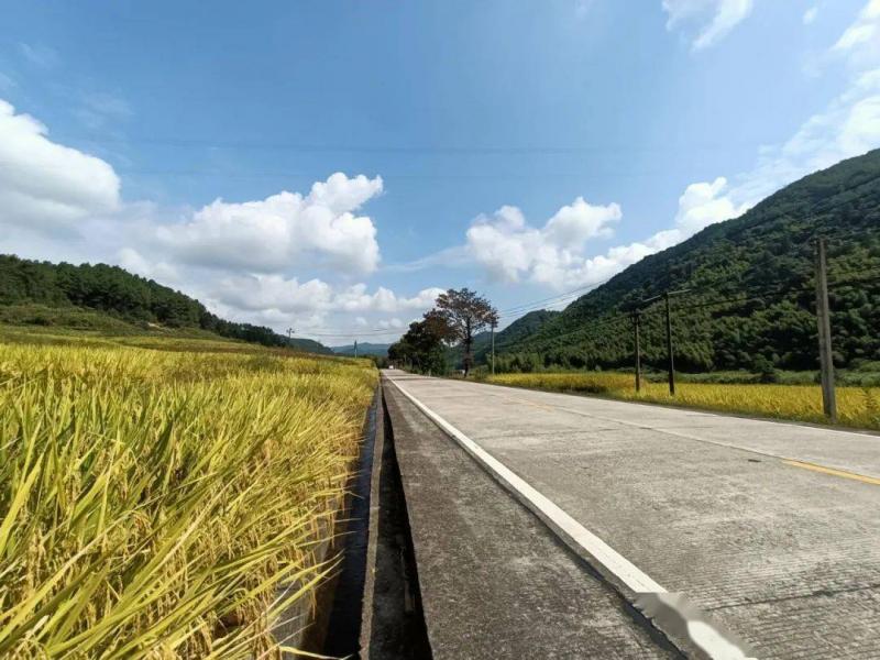 公路图片 第16张