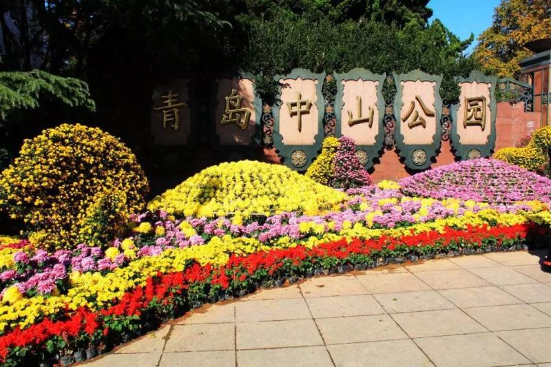青岛中山公园风景图片 第1张