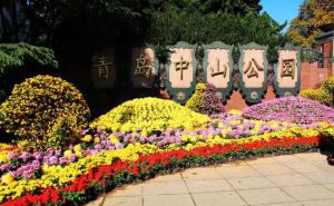 青岛中山公园风景图片