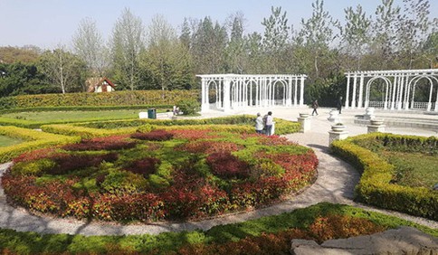 青岛中山公园风景图片 第2张