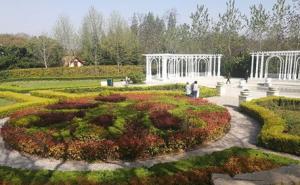 青岛中山公园风景图片 第2张