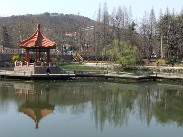 青岛中山公园风景图片 第5张