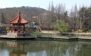 青岛中山公园风景图片 第5张