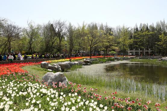 青岛中山公园风景图片 第3张