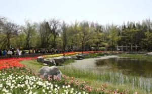 青岛中山公园风景图片 第3张