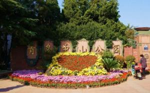 青岛中山公园风景图片 第6张