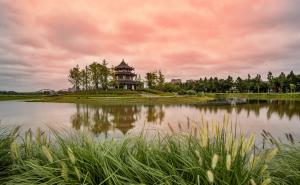 嘉陵江湿地公园图片