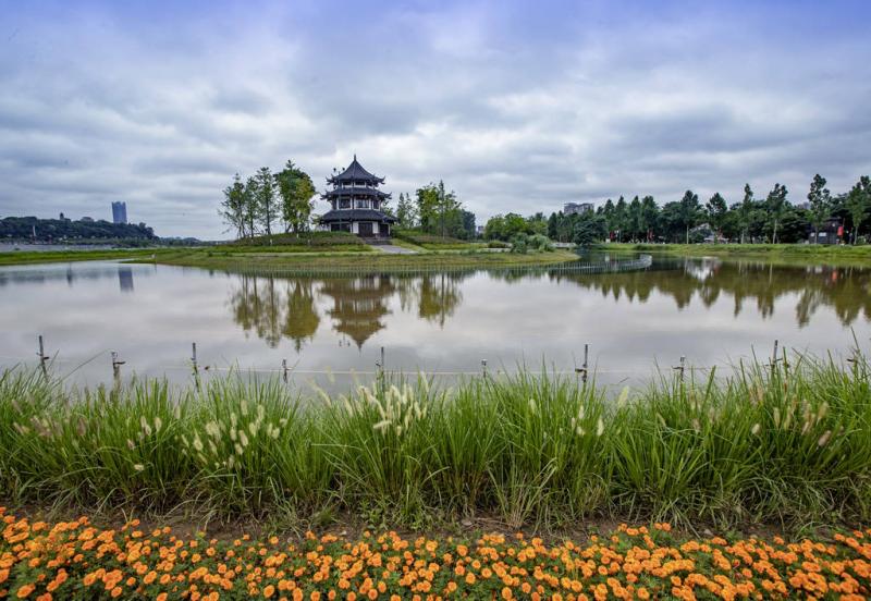 嘉陵江湿地公园图片 第2张