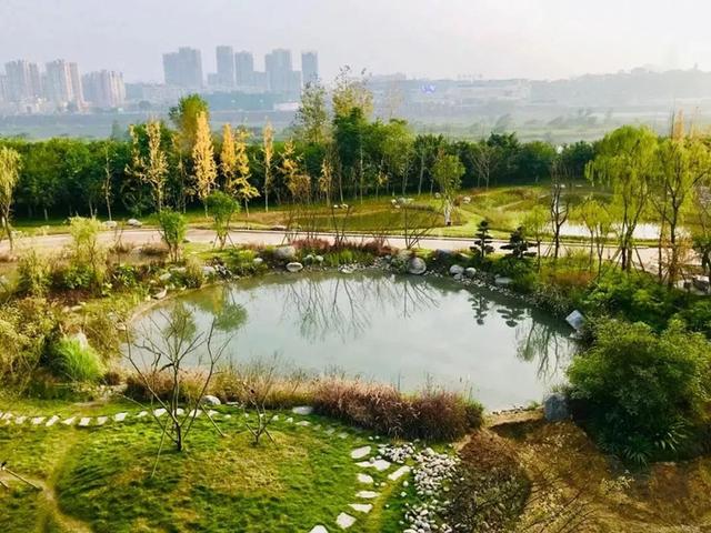 嘉陵江湿地公园图片 第4张