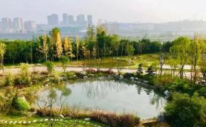 嘉陵江湿地公园图片 第4张