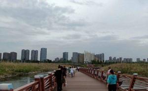 嘉陵江湿地公园图片 第5张