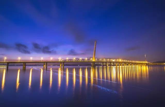 深圳湾公园夜景图片 第4张