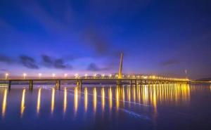 深圳湾公园夜景图片 第4张