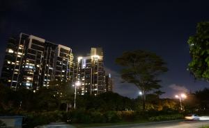 深圳湾公园夜景图片 第2张