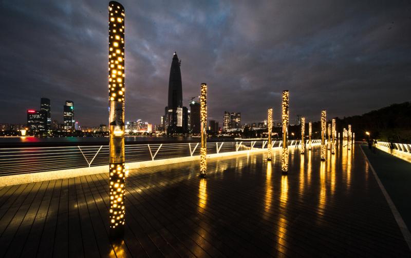 深圳湾公园夜景图片 第7张