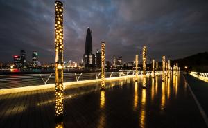 深圳湾公园夜景图片 第7张